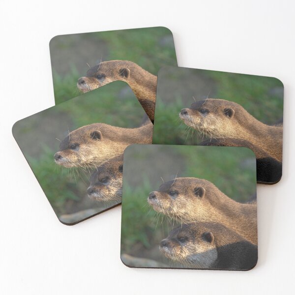 Item preview, Otter Pair designed and sold by rawshutterbug.