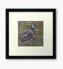 TOSSER Framed Print