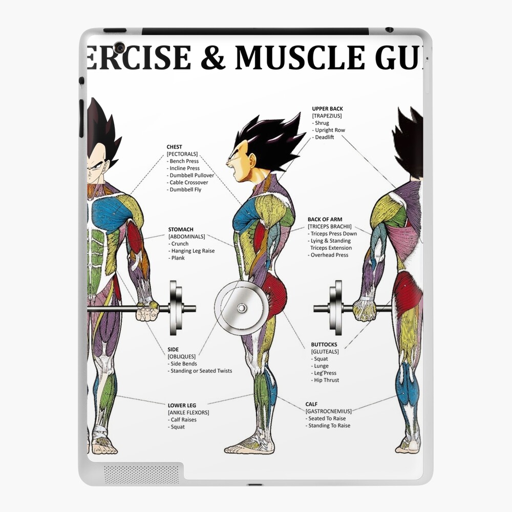 Bodybuilding Exercise Anatomy Chart Muscle Diagram Anime Ipad Case Skin By Iamsuperultra Redbubble