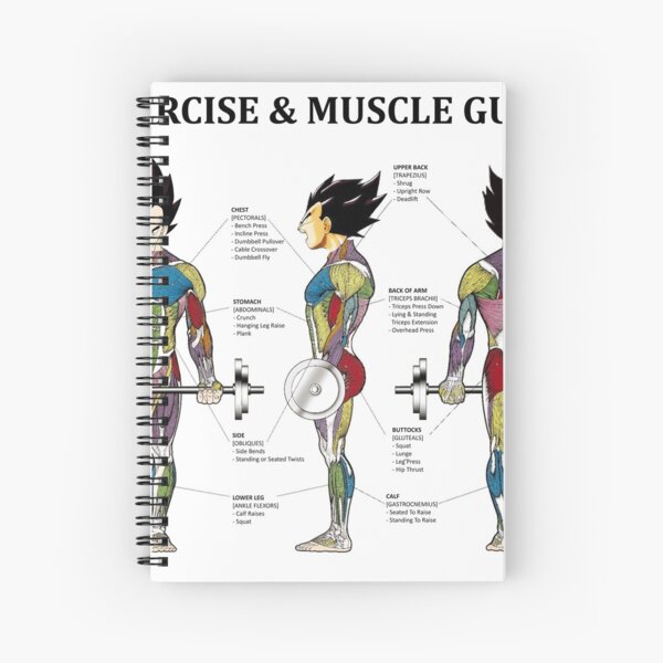 "Bodybuilding, Exercise Anatomy Chart, Muscle Diagram, Anime" Spiral