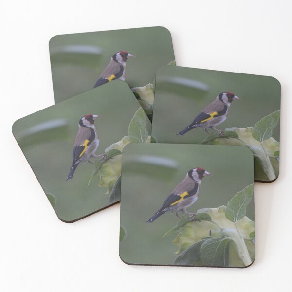 Item preview, A Common Finch, France designed and sold by golan22may.