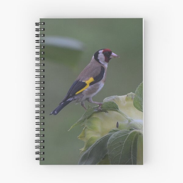 Item preview, A Common Finch, France designed and sold by golan22may.