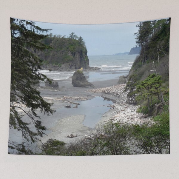 Item preview, Oympic Peninsula ~ Ruby Beach  designed and sold by Lucinda Walter.