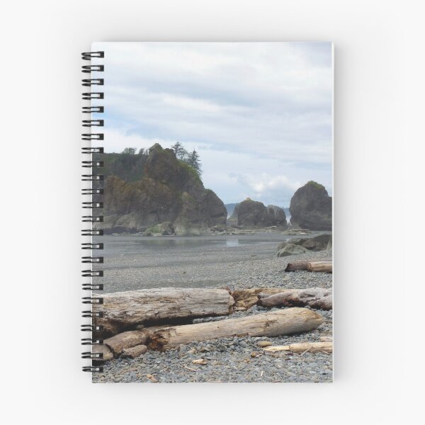 Item preview, Ruby Beach - Oympic Peninsula Washington designed and sold by Lucinda Walter.