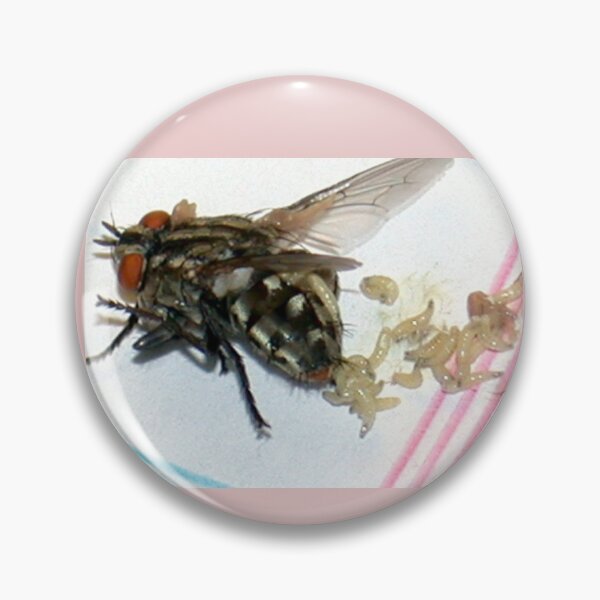 Item preview, Fly Birthing Maggots designed and sold by CannibalCulture.