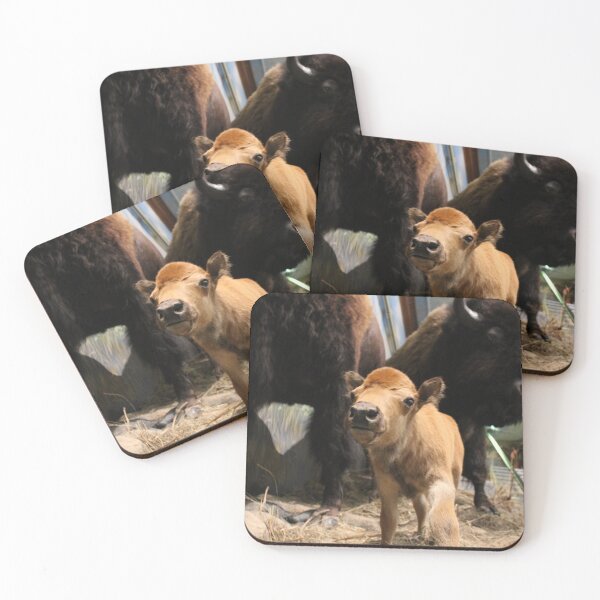 Item preview, Calf designed and sold by GymWiller.