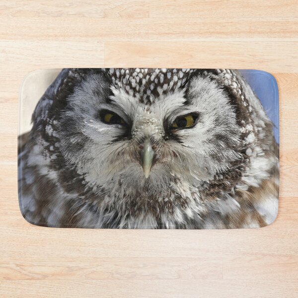 Item preview, Boreal owl close up designed and sold by locustgirl.