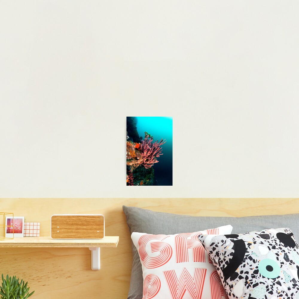 Item preview, Photographic Print designed and sold by Beyondsurface.