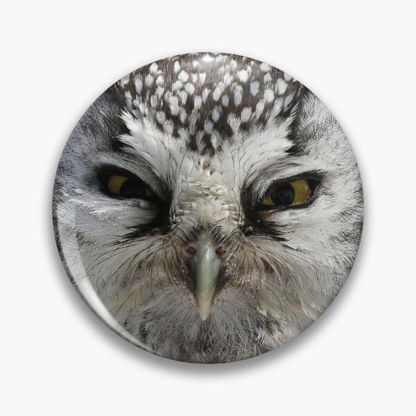 Item preview, Boreal owl close up designed and sold by locustgirl.