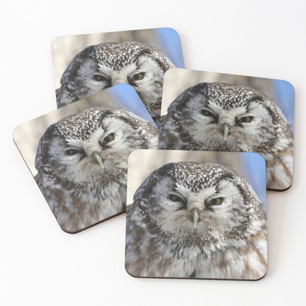 Item preview, Boreal owl close up designed and sold by locustgirl.