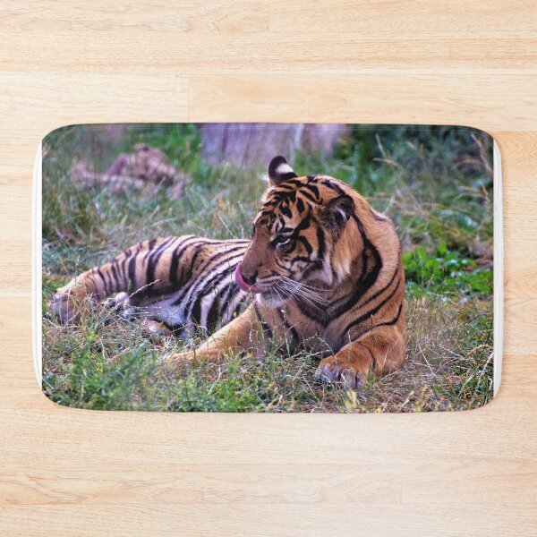 Item preview, A Tiger in London designed and sold by golan22may.