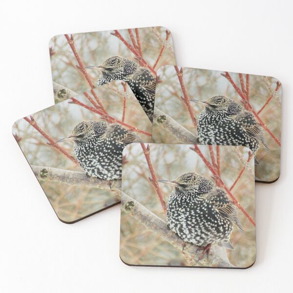 Item preview, Sat in the budding tree designed and sold by missmoneypenny.