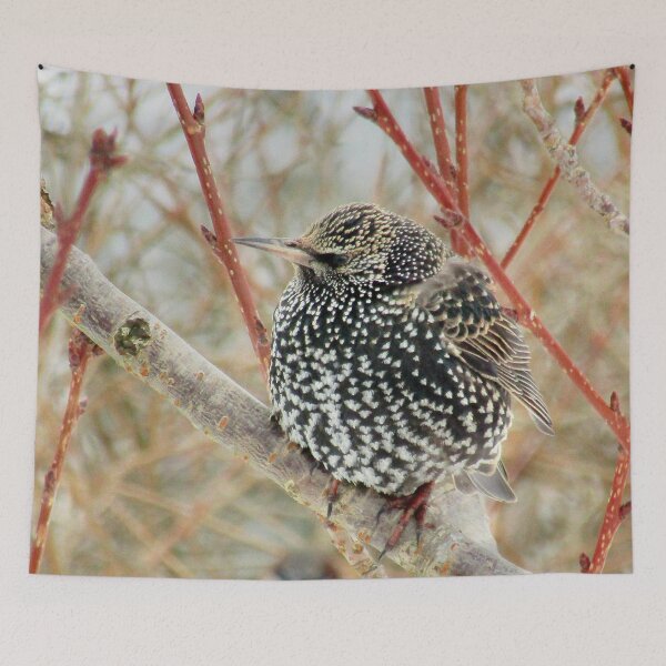 Item preview, Sat in the budding tree designed and sold by missmoneypenny.
