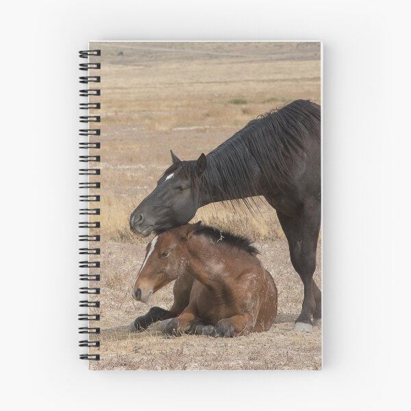 Item preview, The love one has for its child designed and sold by Nicole  Markmann Nelson.
