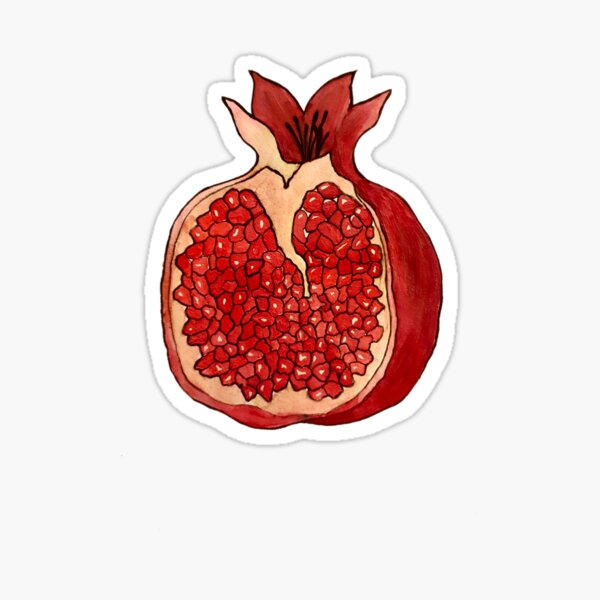 Pomegranate Watercolour Sticker