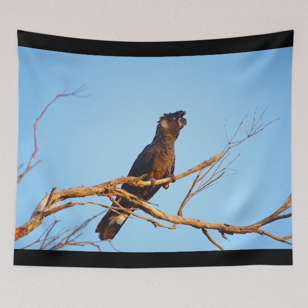 Item preview, A Black Cockatoo At Dusk designed and sold by Jason Gilbert.