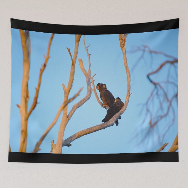 Item preview, Two Black Cockatoos at Sunset designed and sold by Jason Gilbert.