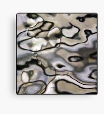 looking glass Canvas Print