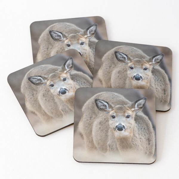 Item preview, White-tailed Deer in Michigan's Upper Peninsula designed and sold by TheCurators.