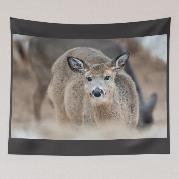 Item preview, White-tailed Deer in Michigan's Upper Peninsula designed and sold by TheCurators.