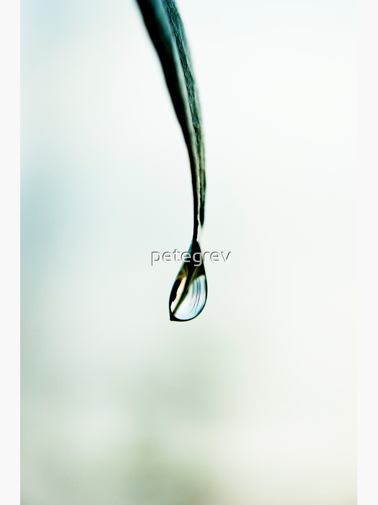 Day 135 - 22nd November 2011 by petegrev