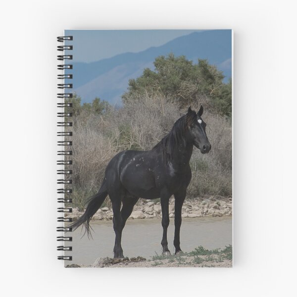 Item preview, Black Beauty  designed and sold by Nicole  Markmann Nelson.