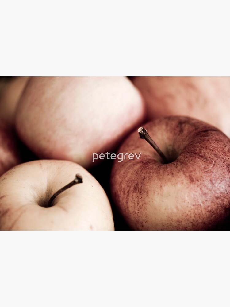 Day 136 - 23rd November 2011 by petegrev