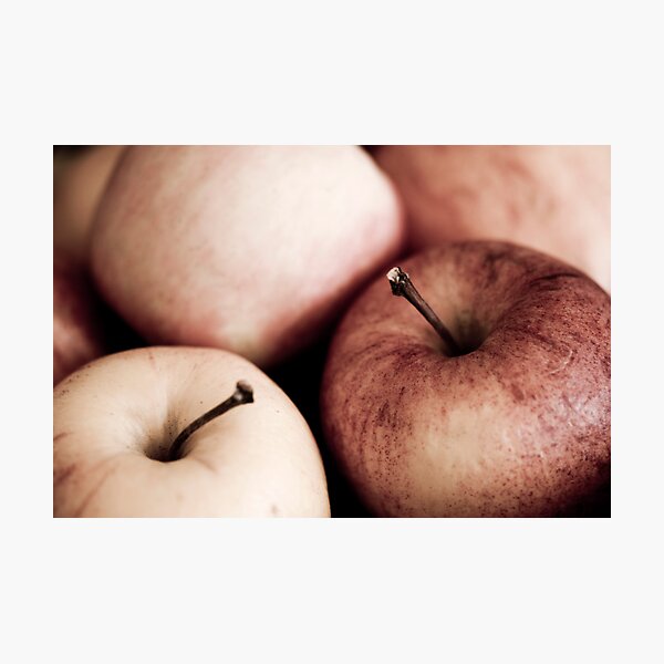 Photographic Print