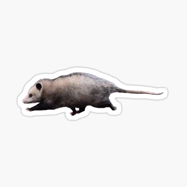 runnin' possum Sticker