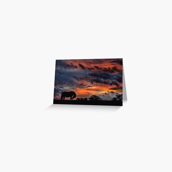 Item preview, Country Sunrise designed and sold by Stephanie Laird.