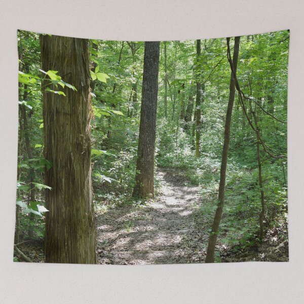 Item preview, downhill through the trees designed and sold by dnparker.