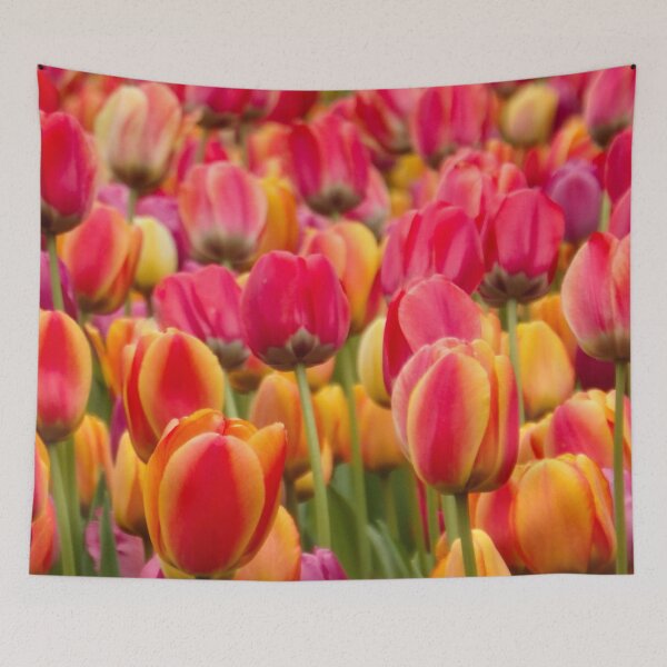 Item preview, Tulips 1 designed and sold by shotsfromthehip.
