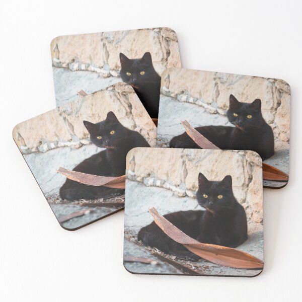 Artikelvorschau, Schwarze Katze mit trockenem Palmblatt entworfen und verkauft von Vienewi.