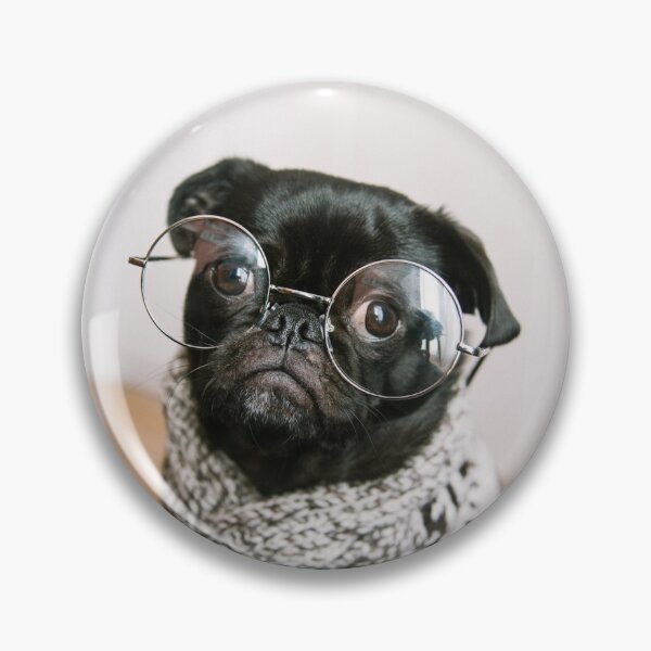 Hipster Pug wearing glasses Pin for Sale by MindChirp Redbubble