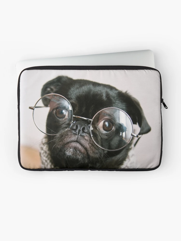 Pugsly the Hipster pug - Pug dog derp wearing Ray Ban sunglasses