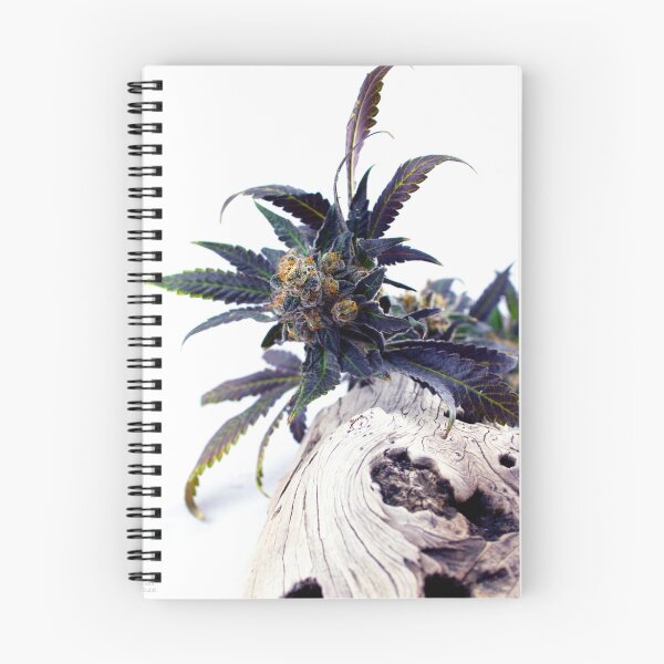 Item preview, Untitled designed and sold by DevilsLettucePh.