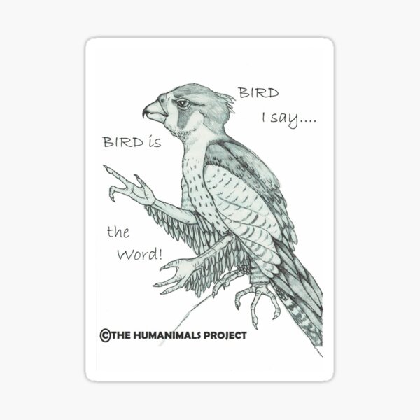 Bird is the Word! Sticker