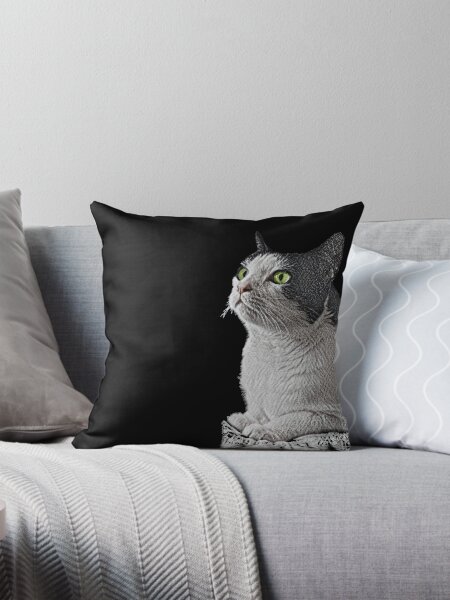 Artikel-Vorschau von Weiße und schwarze Katze, sitzend, designt und verkauft von NJartbyNJacobson.