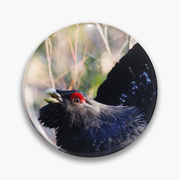 Item preview, 13.3.2020: Capercaillie designed and sold by Petri Volanen.