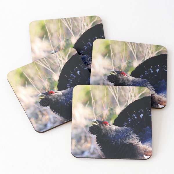 Item preview, 13.3.2020: Capercaillie designed and sold by Petri Volanen.