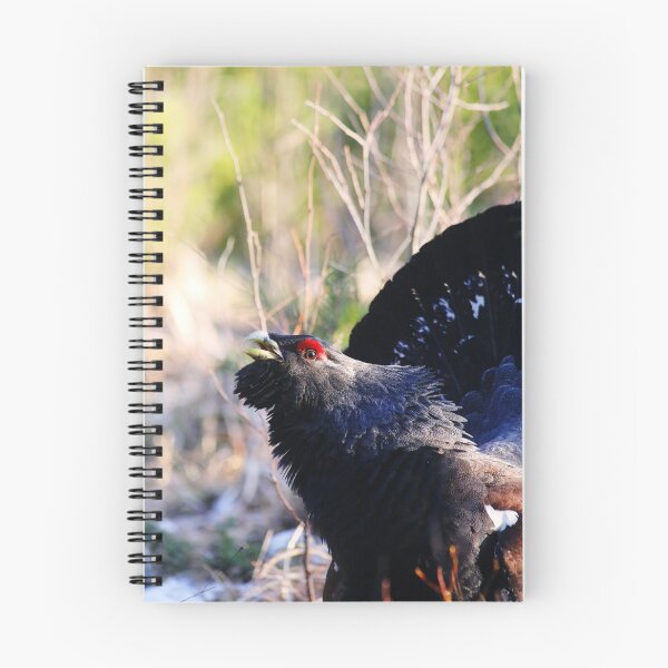 Item preview, 13.3.2020: Capercaillie designed and sold by Petri Volanen.