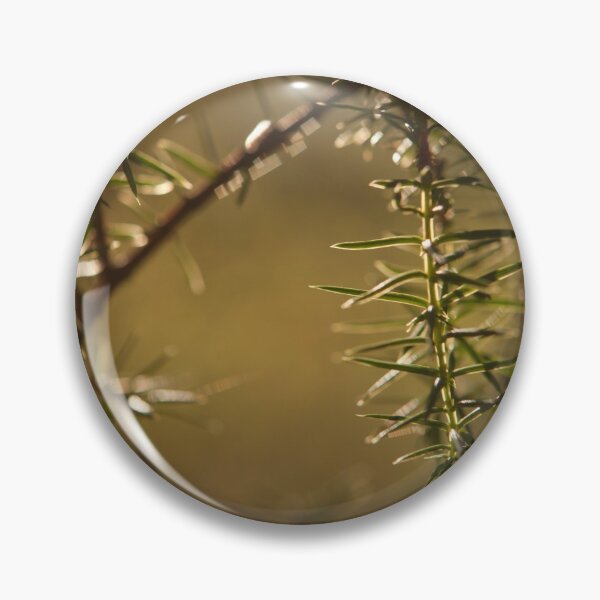 Item preview, Juniper needles designed and sold by Göran Andersson.