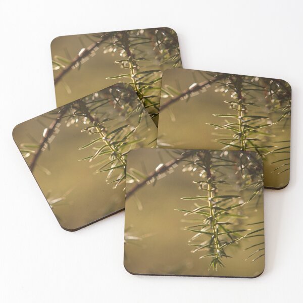 Item preview, Juniper needles designed and sold by Göran Andersson.