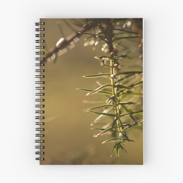 Item preview, Juniper needles designed and sold by Göran Andersson.