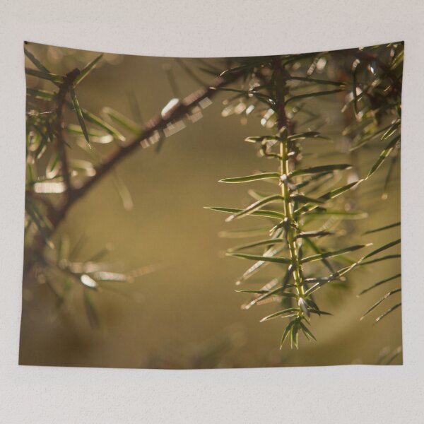 Item preview, Juniper needles designed and sold by Göran Andersson.