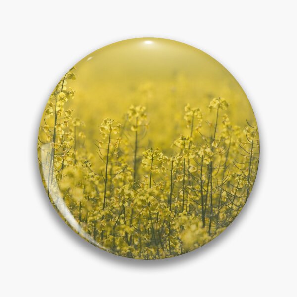 Item preview, Rapeseed designed and sold by Göran Andersson.