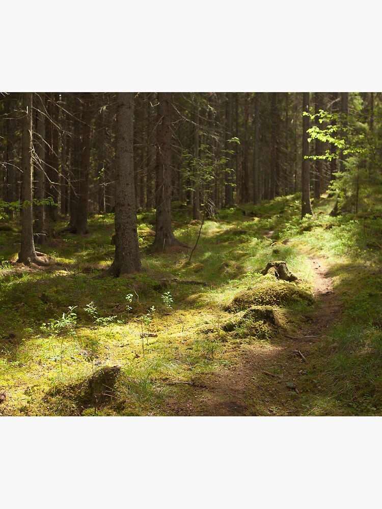Thumbnail 3 of 3, Tapestry, Forest path designed and sold by guffa-com.