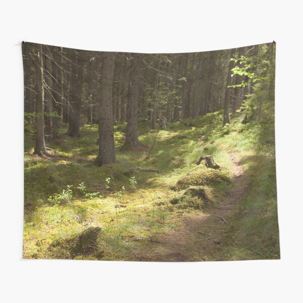 Tapestry