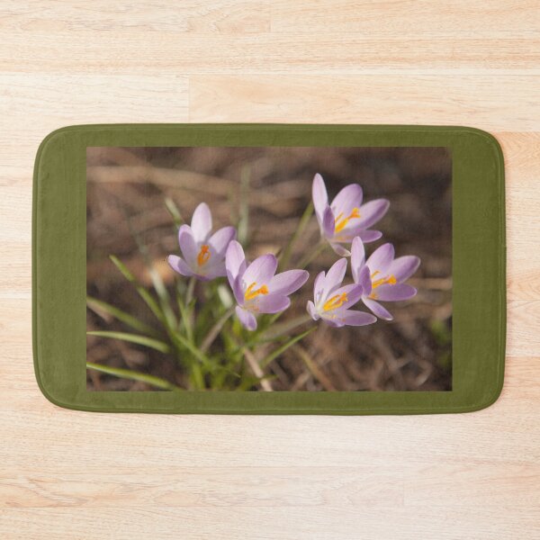 Item preview, Crocus designed and sold by Göran Andersson.
