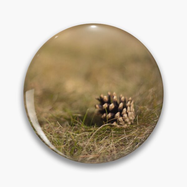 Item preview, Pine cone designed and sold by Göran Andersson.